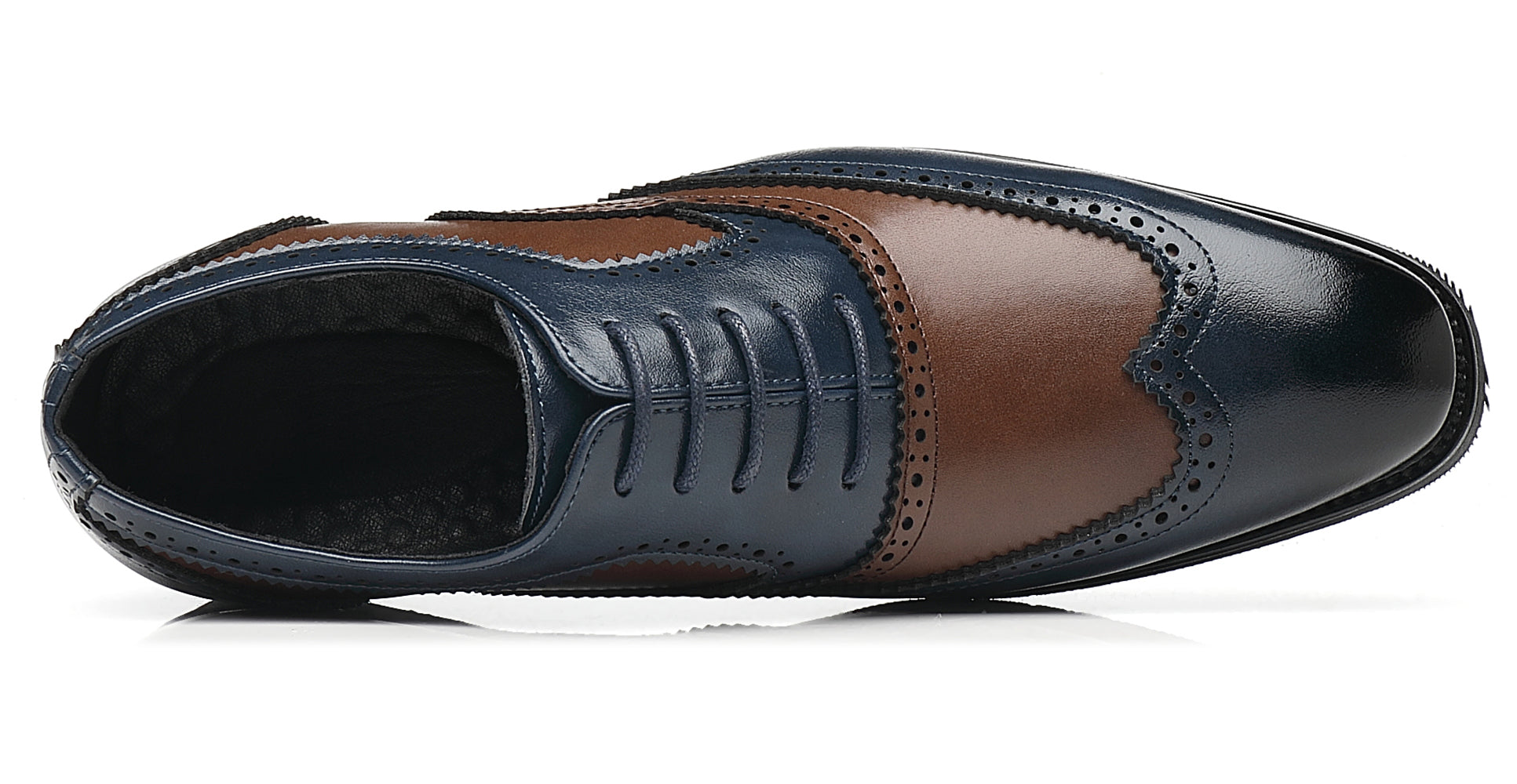Men's Wingtip Blue Brown Composite Oxfords